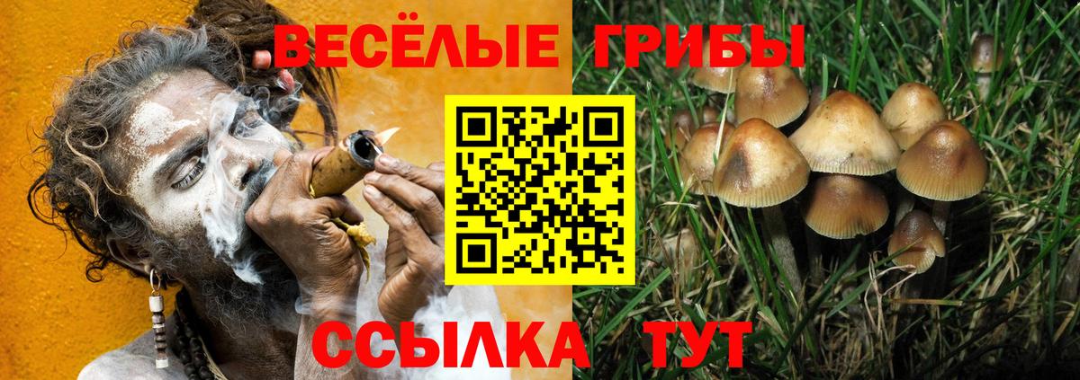 Острогожск  Галлюциногенные грибы мухоморы  Вход с VPN  даркнет сайт  Псилоцибиновые грибы ЛСД 